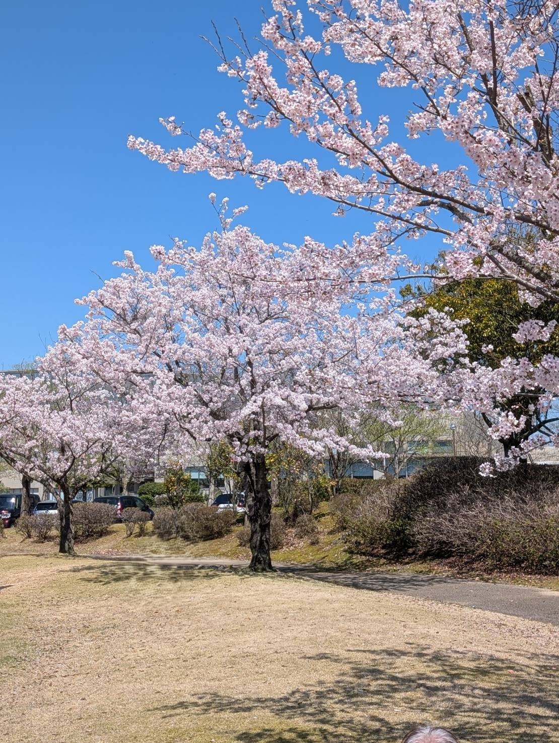 2026年4月